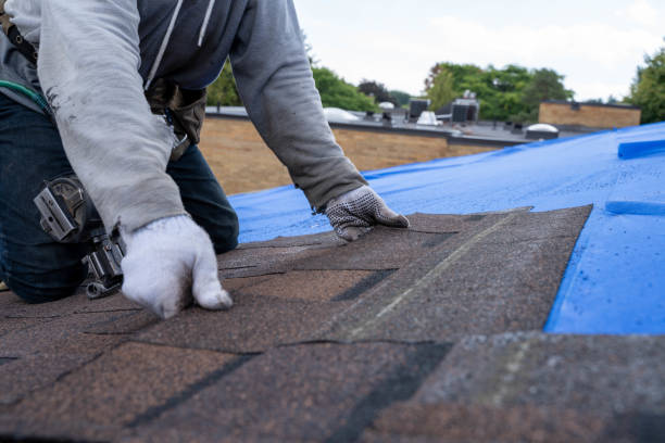 Best Roof Moss and Algae Removal  in Hercules, CA