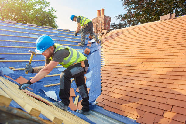 Best Skylight Installation and Repair  in Hercules, CA